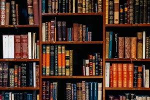 The Author Chronicles, J. Thomas Ross, books on shelves