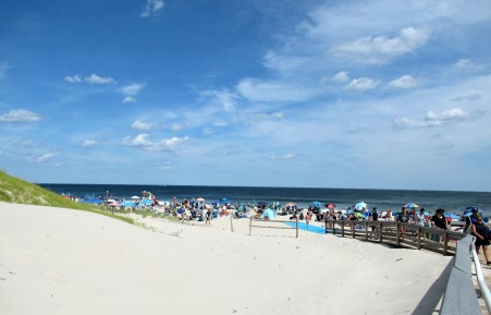 The Author Chronicles, J. Thomas Ross, Top Picks Thursday, Island Beach State Park, view of the crowded beach